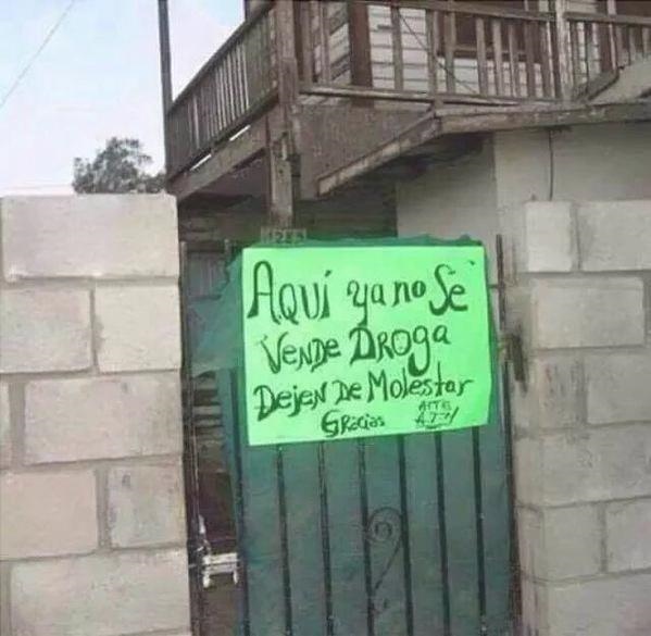 A Inteligência Dessas Pessoas Sentir-Se-Einstein 8 inteligência 6
