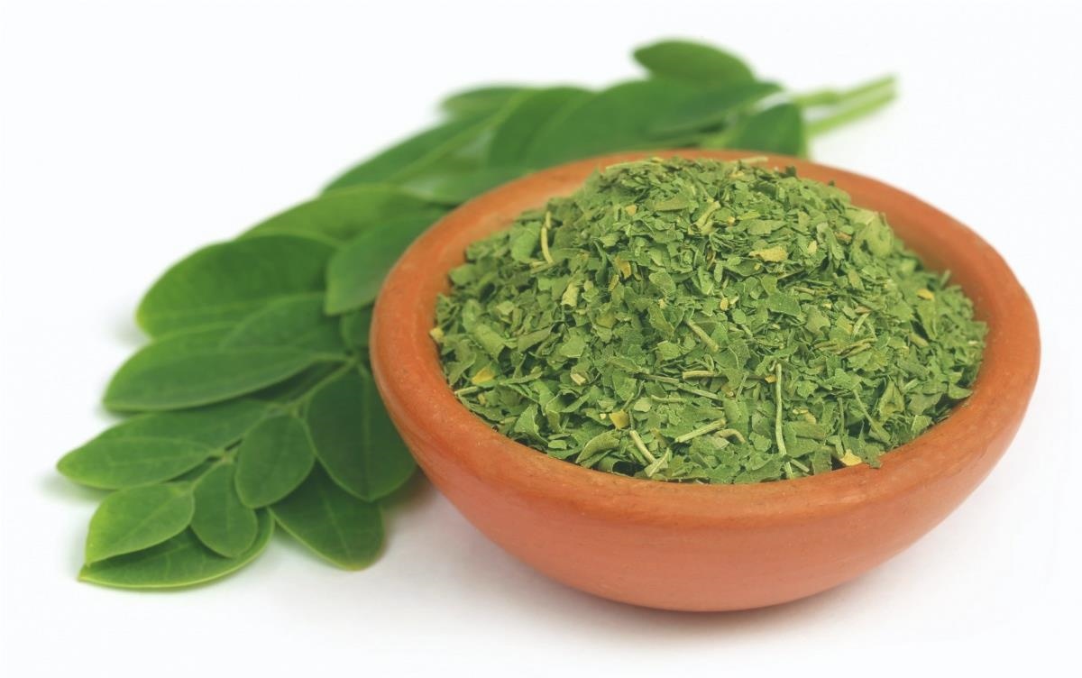 moringa-grama-fidel